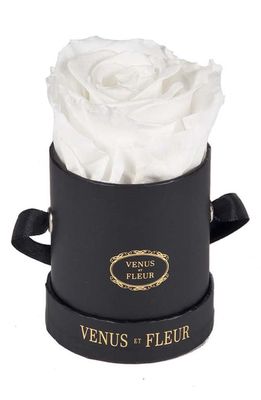 Venus ET Fleur Classic Le Mini Round Eternity Roses in Pure White