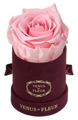 Venus ET Fleur Classic Le Mini&trade; Round Eternity Rose in Pink