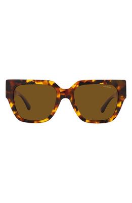 Versace 53mm Polarized Irregular Sunglasses in Havana Polarized