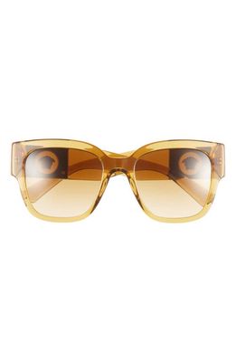 Versace 54mm Pillow Sunglasses in Transparent Sand