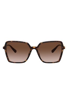 Versace 58mm Square Sunglasses in Havana/Brown Gradient