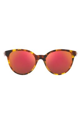 Versace Phantos 46mm Small Round Sunglasses in Havana /Dark Violet Red