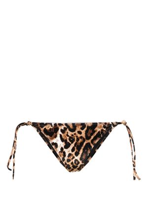 VETEMENTS leopard-print velour bikini bottoms - Brown
