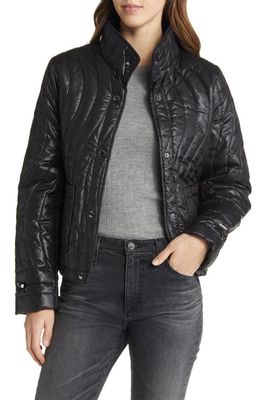 Via Spiga Short Quilted Water Resistant Puffer Jacket in Black