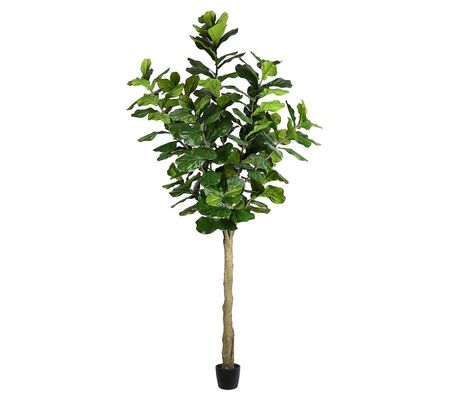 Vickerman 10' Artificial Potted Fiddle Tree