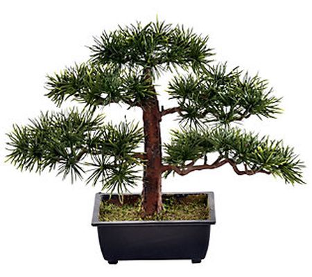 Vickerman 10" Artificial Potted Guest Greeting Pine Tree