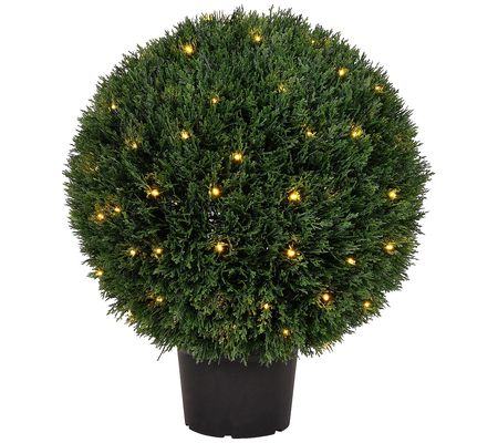 Vickerman 24" Artificial Green Cedar Ball. Pre- it