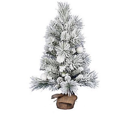 Vickerman 36" Frosted Beacon Pine Tree