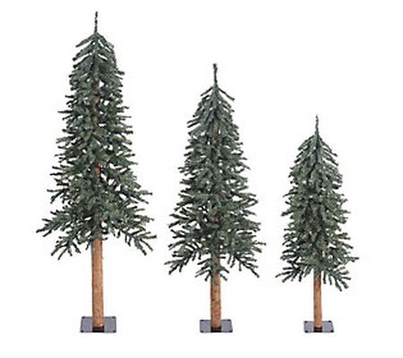 Vickerman 4' 5' 6' Alpine Artificial Christmas ree Set
