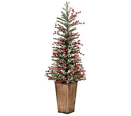 Vickerman 4.5'x20" Frost Berry Potted DuraLt 10 0WW