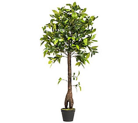 Vickerman 50" Artificial Camellia Tree