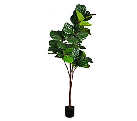 Vickerman 8' Green Fiddle Tree in Black Planter s Pot