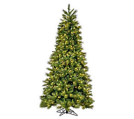 Vickerman 9' x 57" Brighton Pine Dura-Lit 900WW