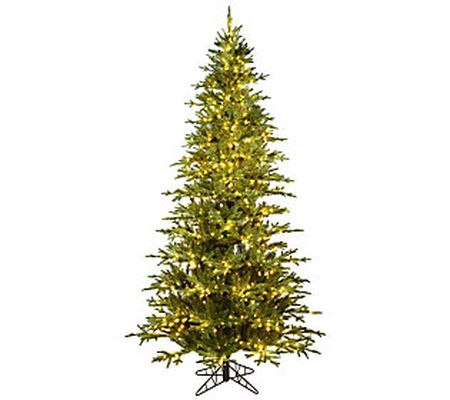 Vickerman 9' x 57" Kamas Fraiser Fir 1700 Light s