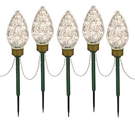 Vickerman C9 Faceted Bulb Lawn Stake Set, 10' S trand