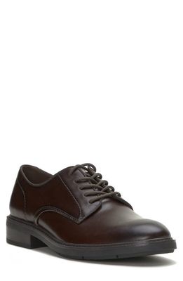 Vince Camuto Ferdie Derby in Sherry/dark Brown 