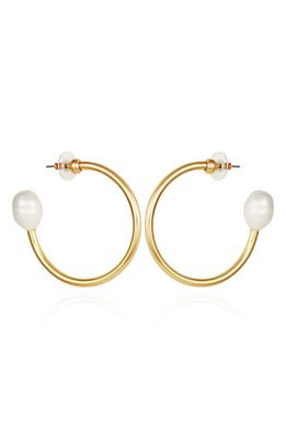 Vince Camuto Imitation Pearl Hoop Earrings in Gold
