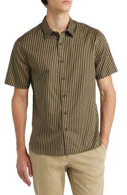 Vince Claremont Stripe Short Sleeve Button-Up Shirt in Sierra Pine/New Camel
