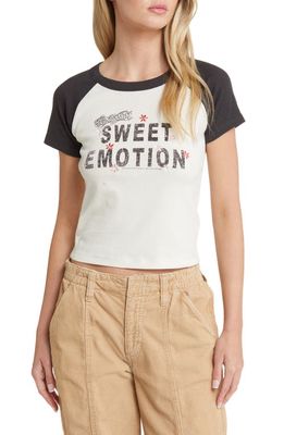 Vinyl Icons Aerosmith Sweet Emotion Colorblock Cotton Graphic T-Shirt in Marshmallow