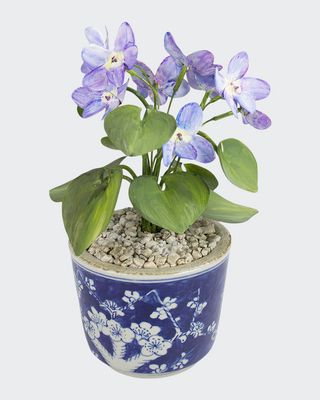 Violet February Birth Flower in Ceramic Pot