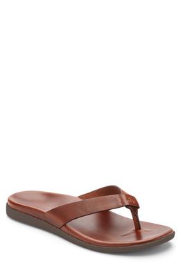 Vionic Elijah Water Repellent Flip Flop in Brown Leather