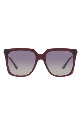 VOGUE 54mm Polarized Square Sunglasses in Cherry