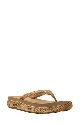 Volatile Palau Platform Flip Flop in Gold 