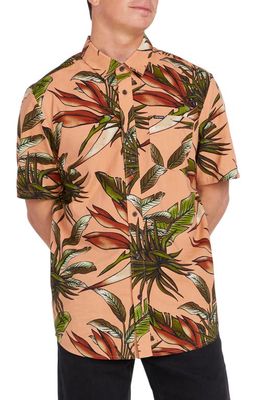 Volcom Indospray Classic Fit Floral Short Sleeve Button-Up Shirt in Sand Dune