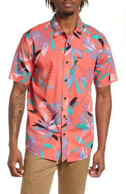 Volcom Leaf Spray Classic Fit Short Sleeve Button-Up Shirt in Lava Rock Red