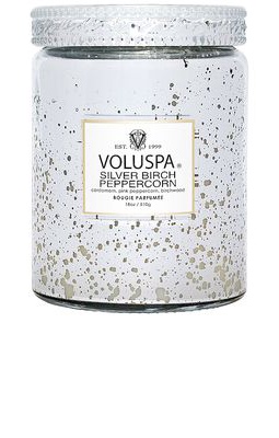 Voluspa Silver Birch Peppercorn Large Jar Candle in Metallic Silver.