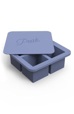 W & P Design Extra Large Ice Cube Tray in Blue