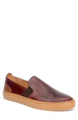 Warfield & Grand Ridge Slip-On Sneaker in Chestnut