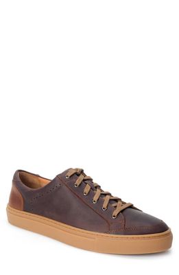 Warfield & Grand Seawall Low Top Sneaker in Brown