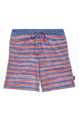 Waste Yarn Project Max Stripe One of a Kind Shorts in Red Multi