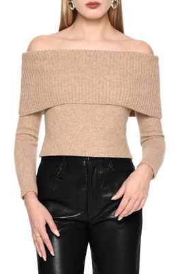 WAYF Georgie Off the Shoulder Sweater in Mocha