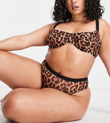 We Are We Wear Curve poly blend mesh non padded balconette bra in leopard print - MULTI