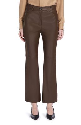 Weekend Max Mara Nectar Leather Bootcut Pants in Chocolate