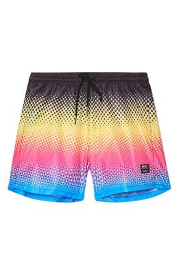 WeSC Ombré Running Shorts in Assorted
