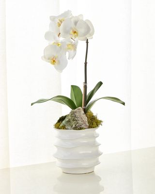 White Orchid in Contemporary Pot