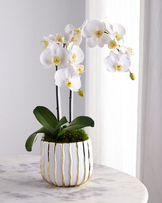 White Orchid in White/Gold Pot