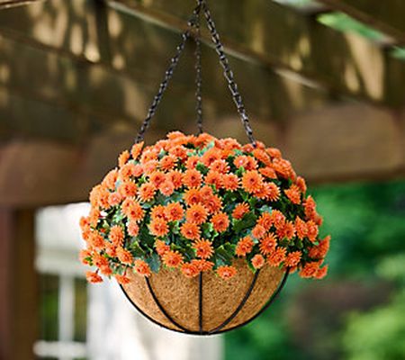 Wicker Park 14" Harvest Faux Mum Hanging Basket