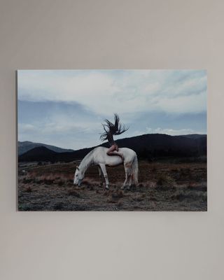 "Wild" Photography Print Handmade HD Metal & Acrylic Art