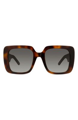 Wildior S3U 55mm Square Sunglasses in Dark Havana /Smoke