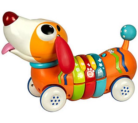 Winfun Remote Control Rainbow Pup