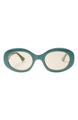 Wisdom Frame 16 Round Sunglasses in Sage 