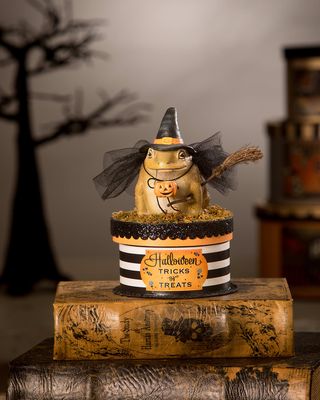 Witchy Toad On Box Halloween Accent