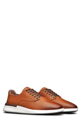 Wolf & Shepherd Crossover Plain Toe Derby in Honey /White 