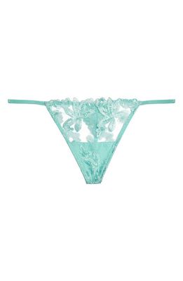 Wolf & Whistle Eva Embroidered Mesh G-String Thong in Blue