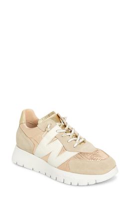 Wonders Oslo Sneaker in Trend Beige Platino 