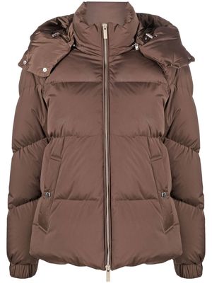 Woolrich Alsea short padded jacket - Brown
